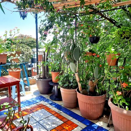 La Terraza Del Pochote Oaxaca Buitenkant foto