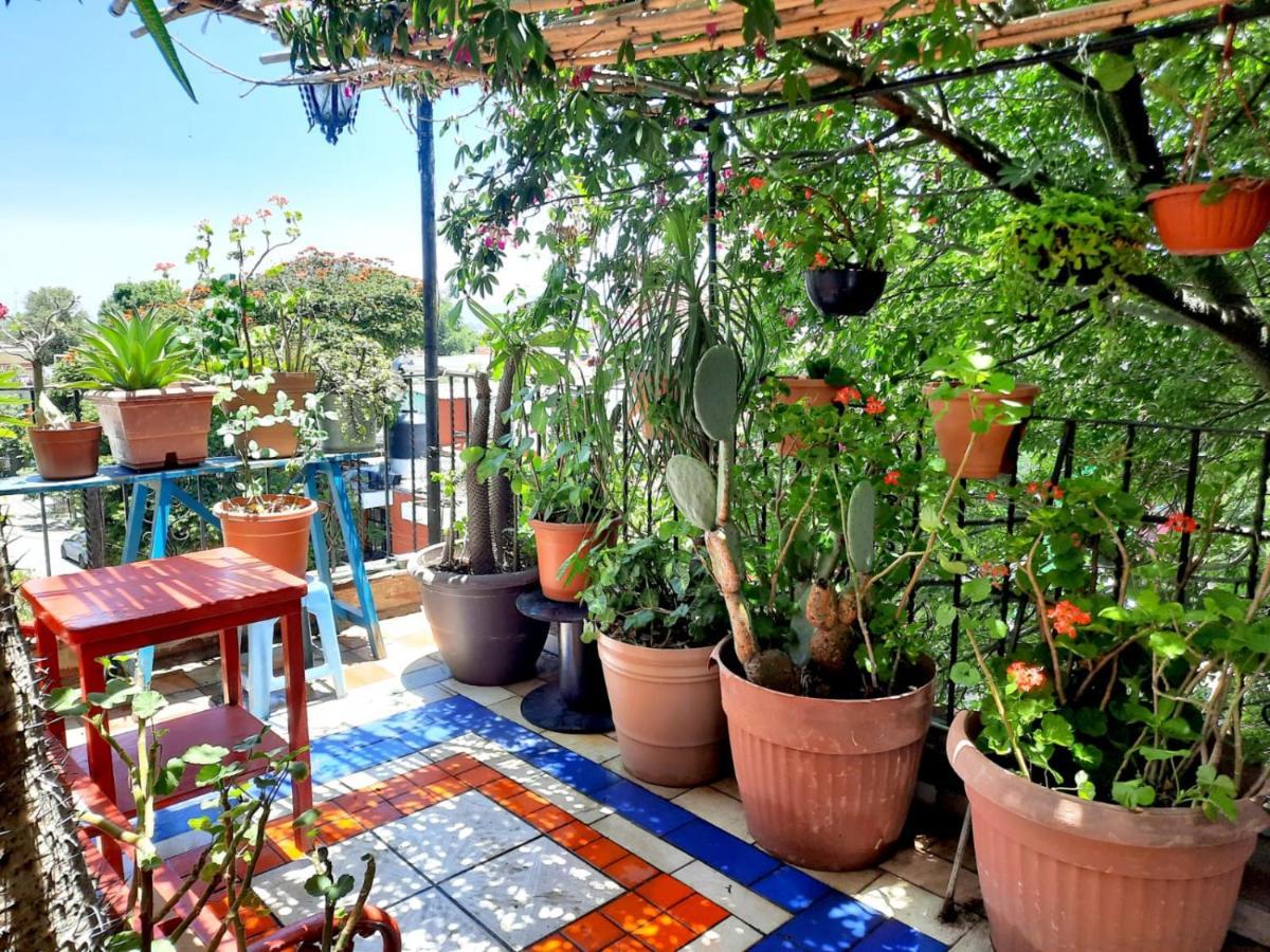 La Terraza Del Pochote Oaxaca Buitenkant foto